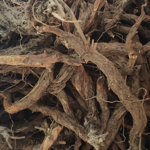盐源县翻白草  翻白叶（道地药材
）