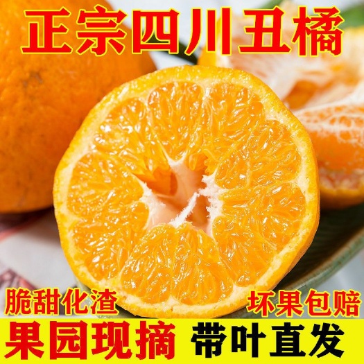 眉山 现货四川眉山 不知火 果园现摘，脆甜 新鲜，一件代发！