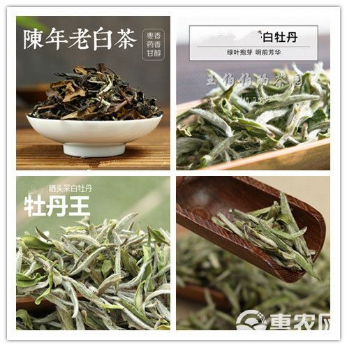 热销】福鼎白茶白毫银针老白茶饼寿眉荒野贡眉白牡丹王水甜好喝