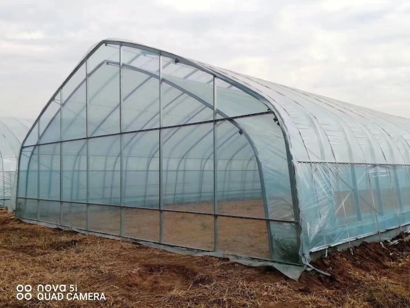 钢管大棚 种植棚养殖棚