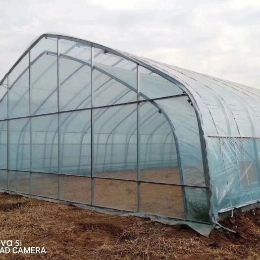 天津钢管大棚 种植棚养殖棚