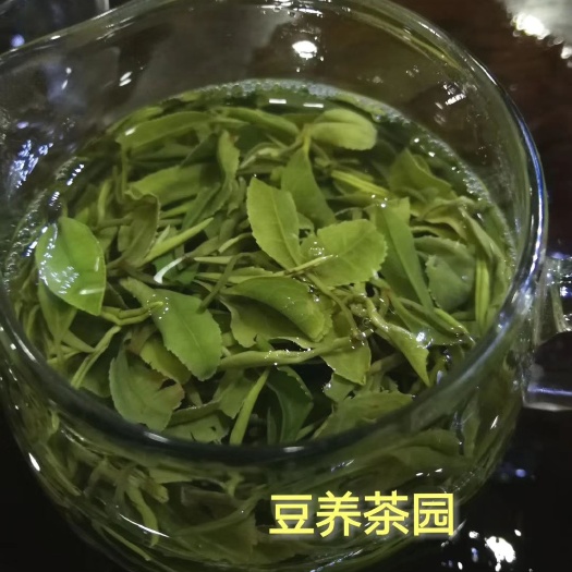 日照 2020正宗日照绿茶厂家批发春茶尝鲜500g全国包邮