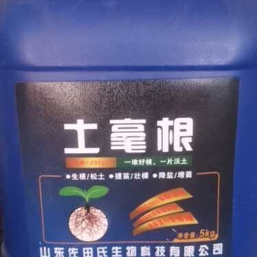 遵化市西瓜红红薯苗 红薯苗