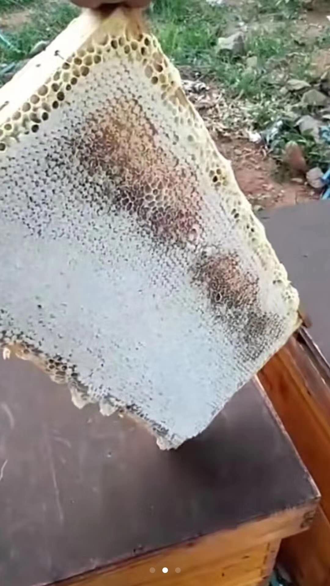  自产自销纯正的好蜂蜜