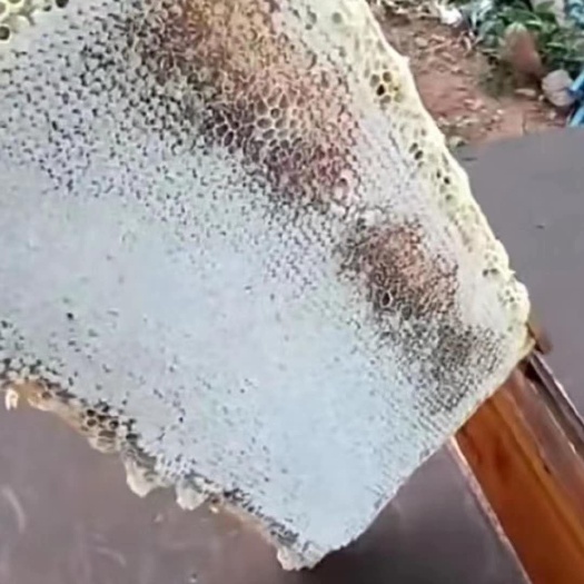 鲁山县 自产自销纯正的好蜂蜜