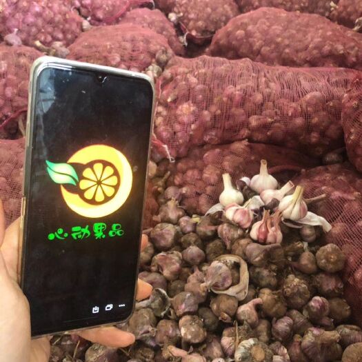 昆明红皮蒜  居家厨房必备【优惠包邮】紫皮大蒜炒菜必备  糖醋大