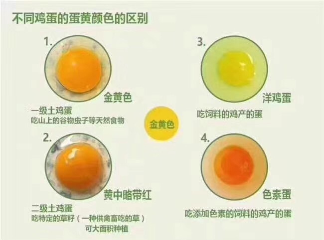 京山市 正宗散养的土鸡蛋