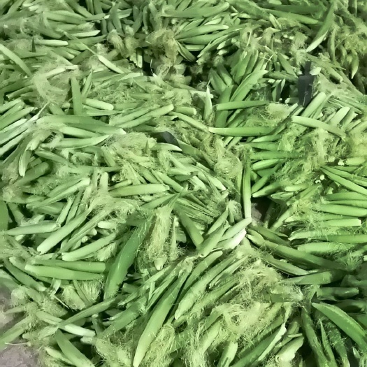横州市 玉米笋