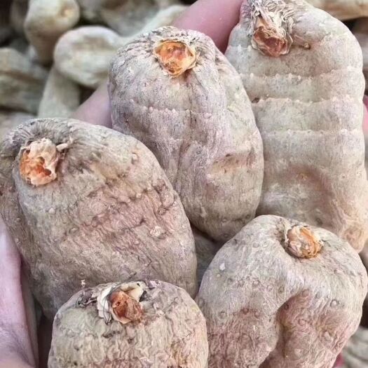 昆明天麻