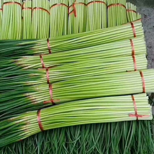 萧县白帽蒜薹 价格便宜，