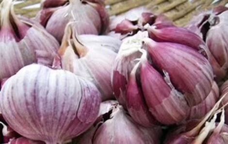 成都 2020年云南紫皮干大蒜 新干大蒜 紫皮大蒜批发 成都大蒜批