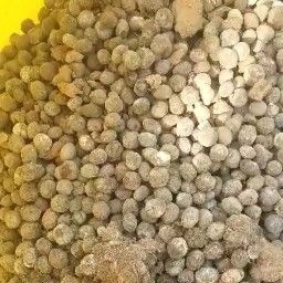 临高县河南焦作市小程兔粪总经销