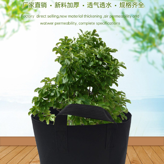 东莞市种植袋/植树袋/美植袋 环保种植袋，美植袋