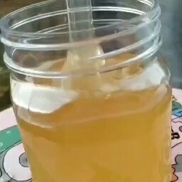 高州市鸭脚木蜜 鸭脚木花蜜，新蜜时颜色青透，回味略有苦甘！假一赔十