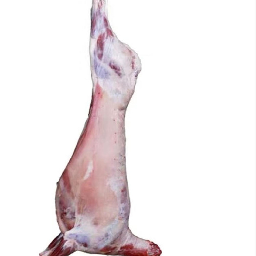 兰州羊肉类 正宗高原散养羊