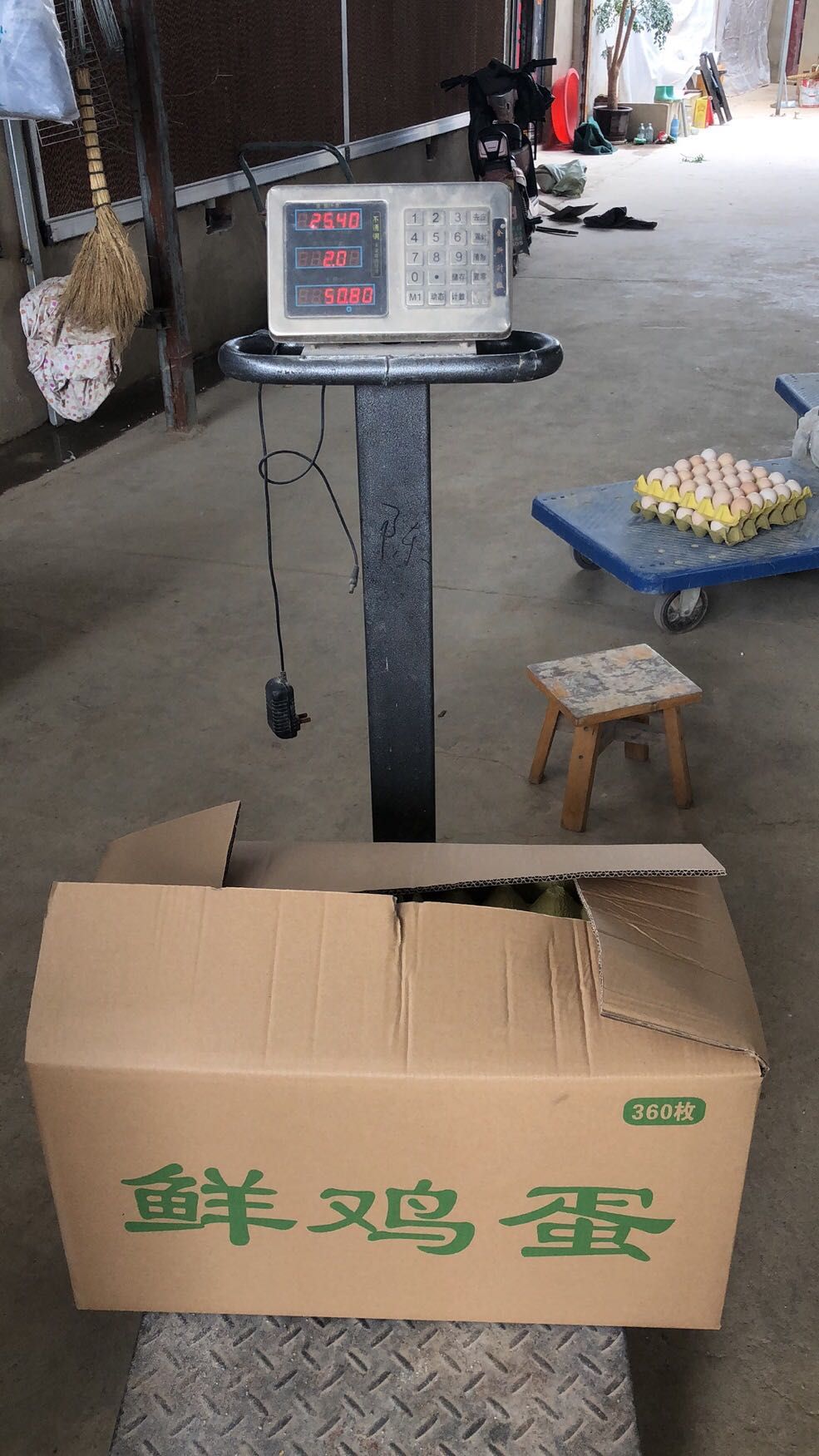武汉普通鸡蛋 鸡场直销，个大