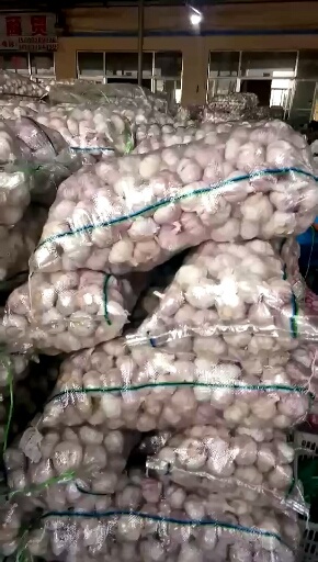 红皮蒜 金乡大蒜,大量供应,个大皮亮,货发全国,产地直供保证无坏果