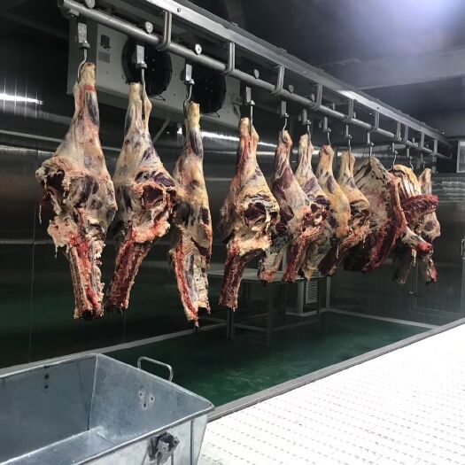  好牛肉。