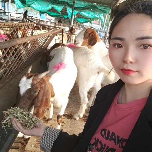 嘉祥县 养羊妹子