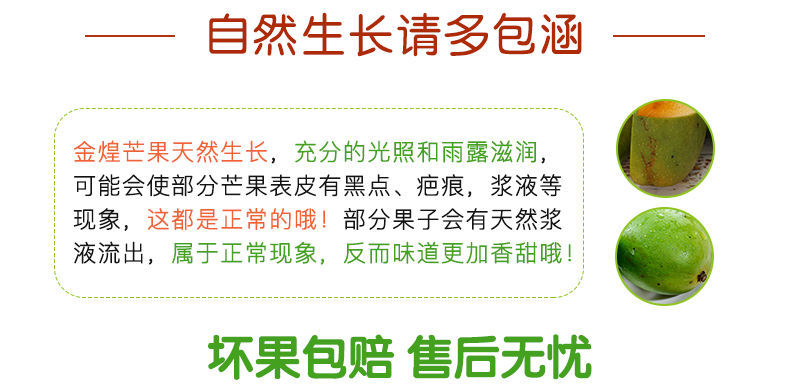 海南当季大金煌芒水仙芒果甜心芒新鲜热带水果大青芒整箱批发包邮