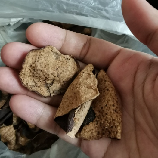 江门 正宗新会陈皮新会柑出售，无造假，无湿仓，无染色，欢迎咨询