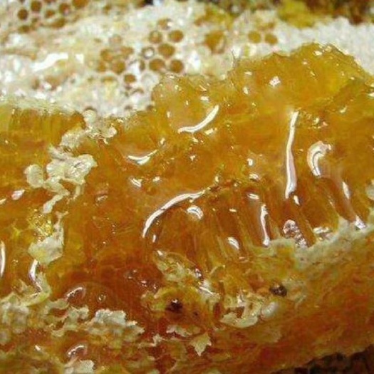 玉林百花蜜 自家酿制，天然有机，营养丰富。