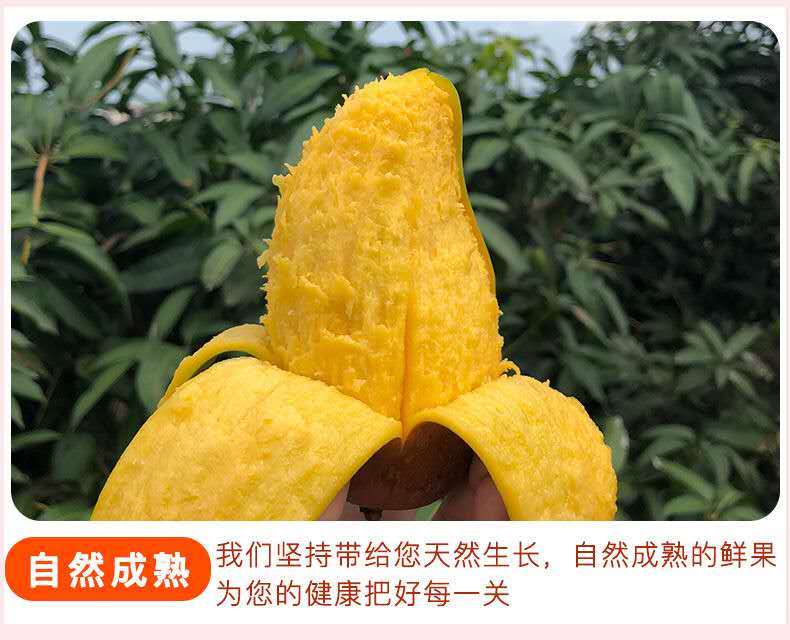海南当季大金煌芒水仙芒果甜心芒新鲜热带水果大青芒整箱批发包邮