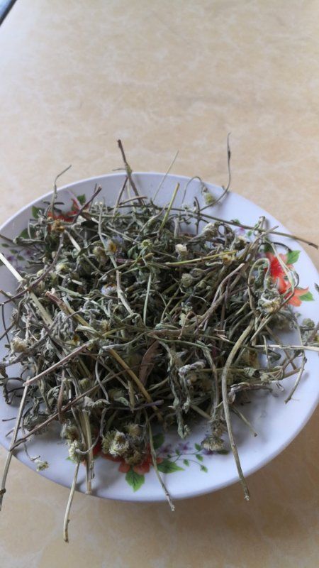 弥渡县 来自海拔2000米的灯盏细辛