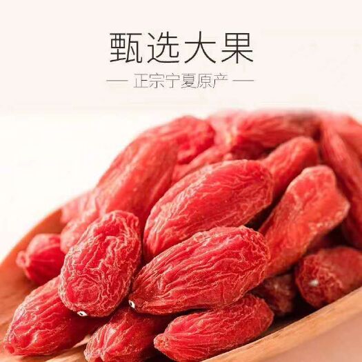 中卫中宁枸杞 18-24个月