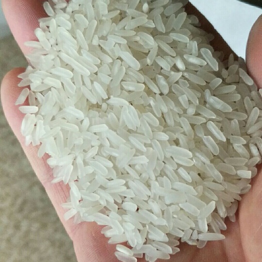 南宁上林香米 香软可口老少皆宜