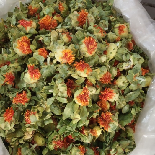 藏红花花丝  藏红花，红花果，