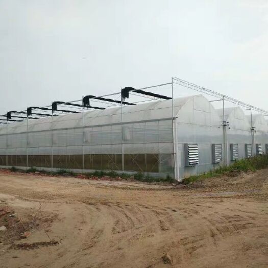 启东市种植大棚 出售二手连栋大棚