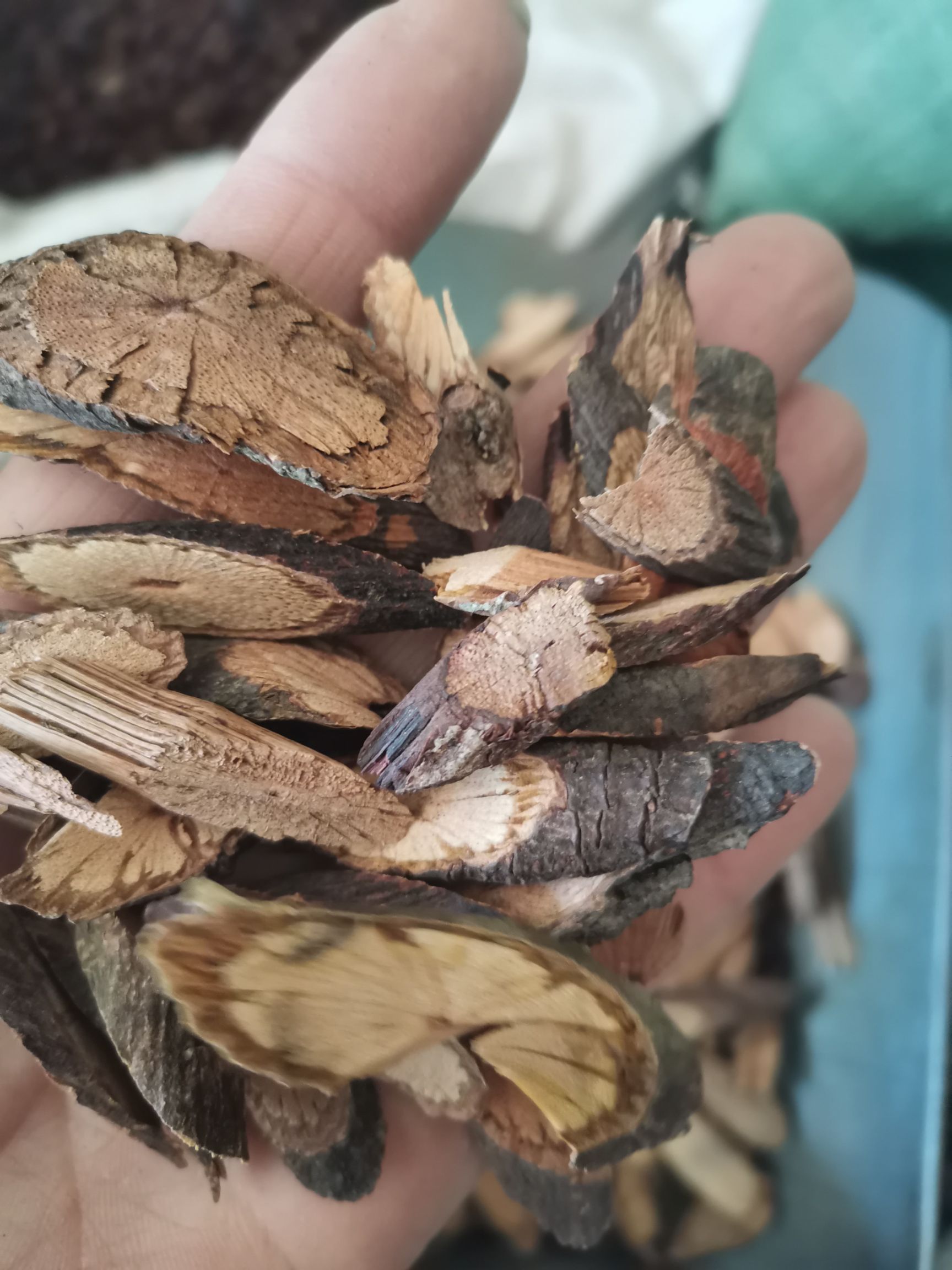 夜交藤又名首乌藤 正品高含量 一公斤起包邮