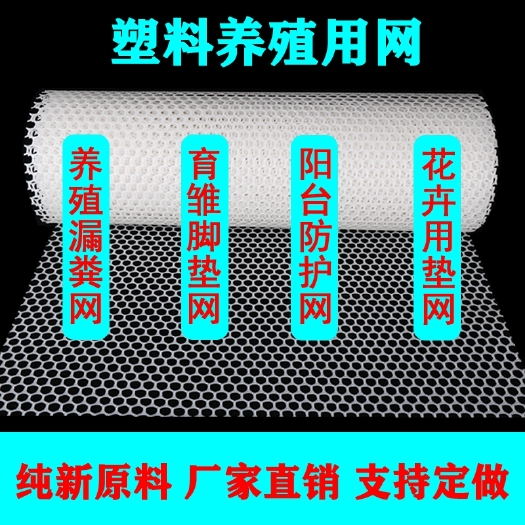 饶阳县漏粪板 塑料平网养殖网育雏漏粪脚踩网床养鸭养鸡养鹅养蜂养殖场垫网