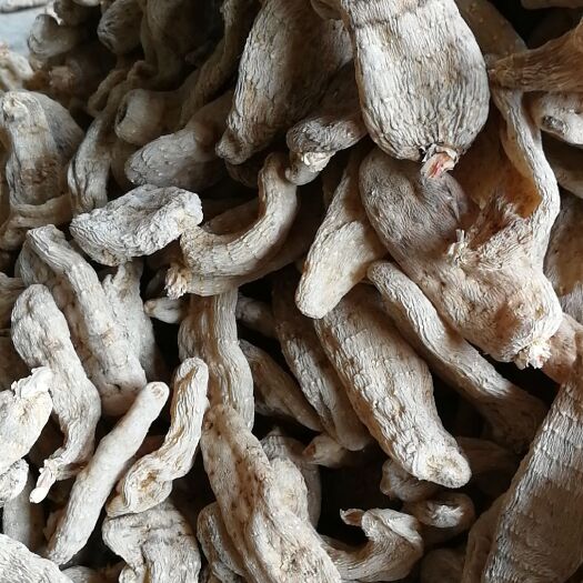 丹凤县宁陕天麻 质量好价格低