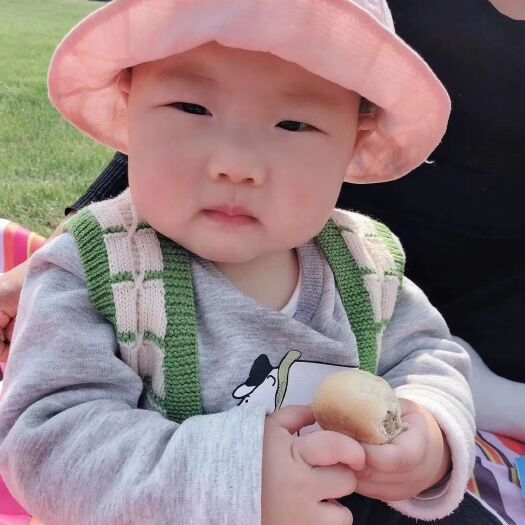 文成县 绿豆饼