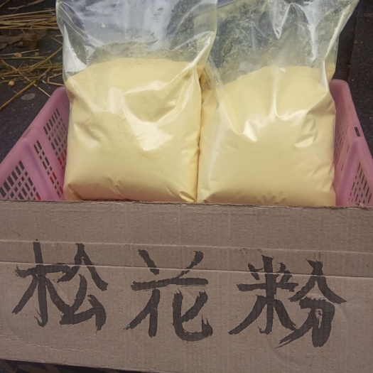 靖州县 湘西高山松花粉
