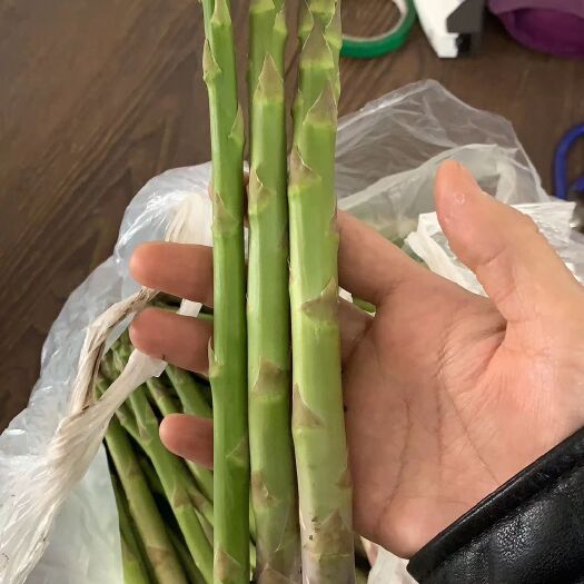 台安县绿芦笋 混装通货