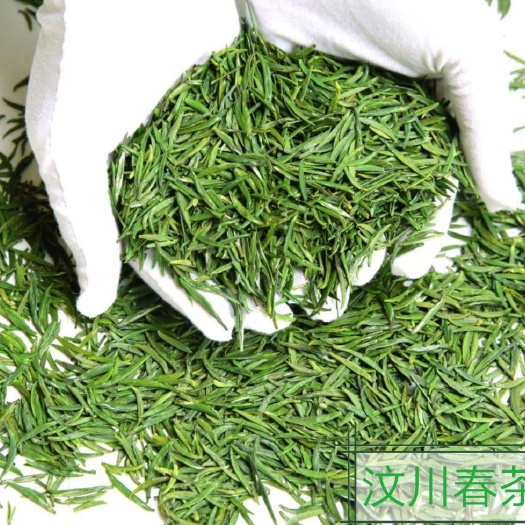 汶川县竹叶青茶 汶川春茶，来自汶川高山高海拔1200米至1800米的盘龙山。