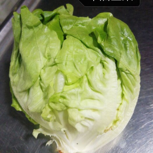 广州 牛油生菜