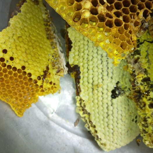 瑞丽市 天 然野 生蜂蜜