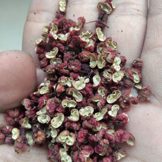 陇南大红袍花椒