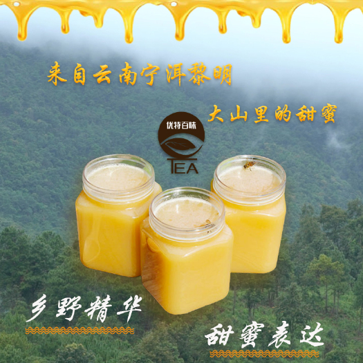 宁洱县 云南宁洱特产  深山百花蜜  土蜂蜜 1000g