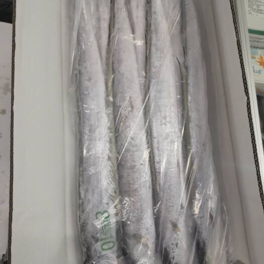 昆山市 国产鸿润带鱼