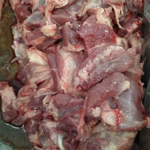 阿旗呼伦贝尔羔羊肉 羊碎肉 羊脖肉