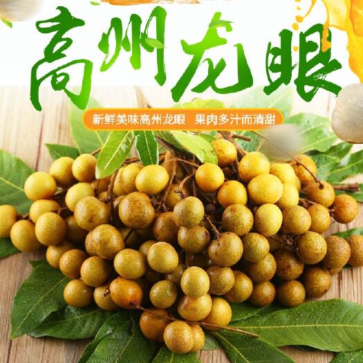 高州市 【产地直销】广东岭南佳果  果中精品储良龙眼
