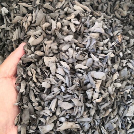 蛟河市黑山木耳 东北黑山秋耳产地源头批发 可视频看货