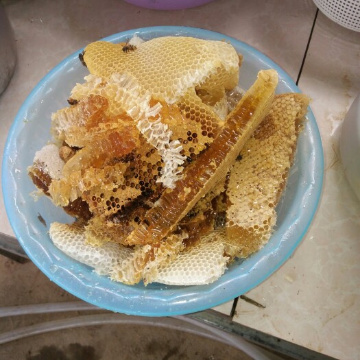 三亚 正宗野野蜂蜜