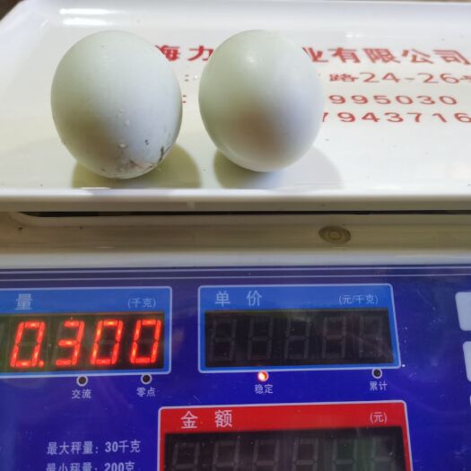 北海 农村放养土鸭蛋