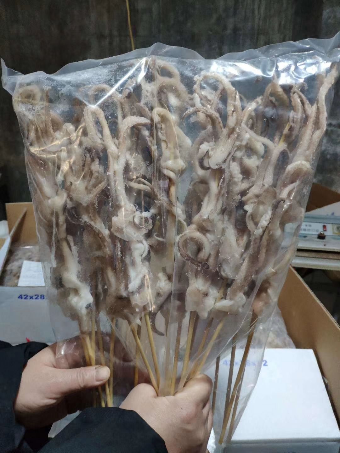 真鱿 须串